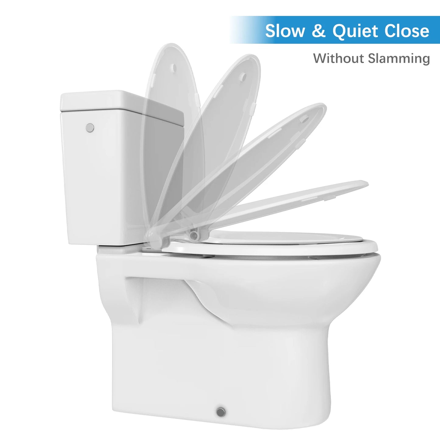 Adult Toilet Seat, Includes Potty Training Attachment