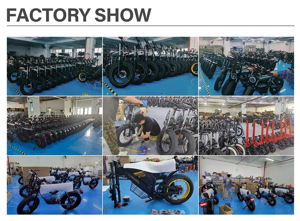 Coswheel Electric Bike For Adult
CT20S 2000W/1500W Mountain bike Electric Motorcycle 60V 27.5Ah
