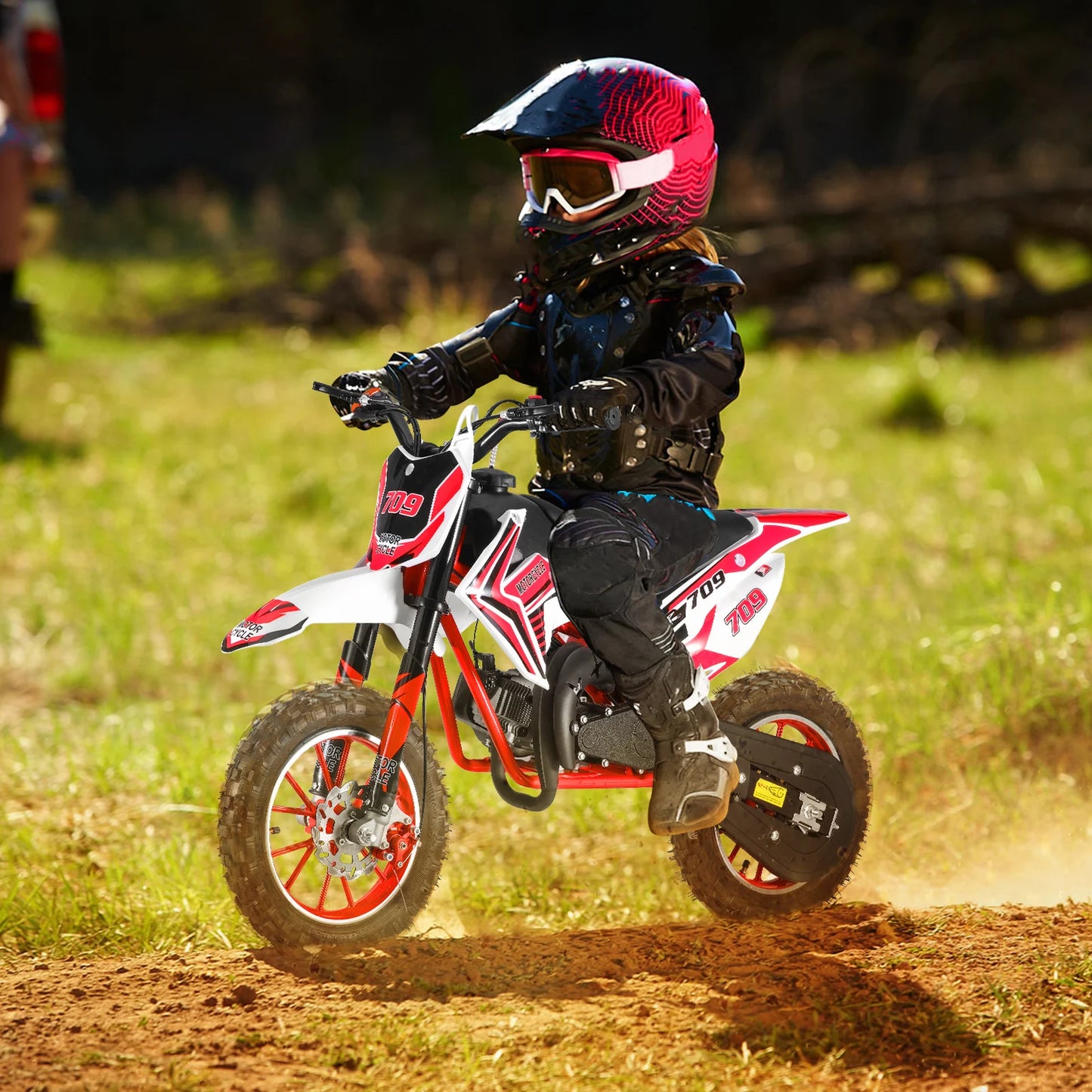 49cc 2-Stroke Kids Dirt Bike , Gas Power Motocross, Off Road Mini Motorcycle,