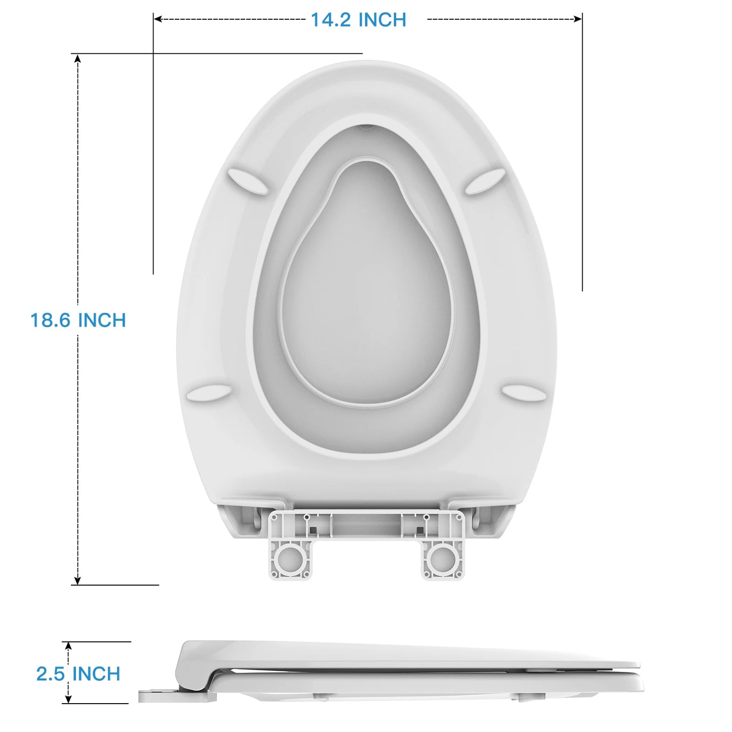 Adult Toilet Seat, Includes Potty Training Attachment