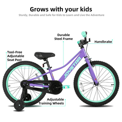 Bike For Girls & Boys Ages 6-10


andbrake,Purple
