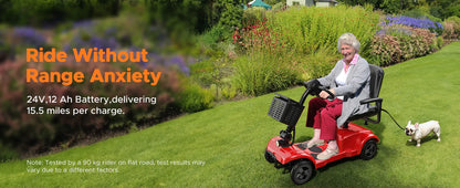 ENGWE Four-Wheeled Electric Scooter 250W,24V 12AH 6.2MPH
